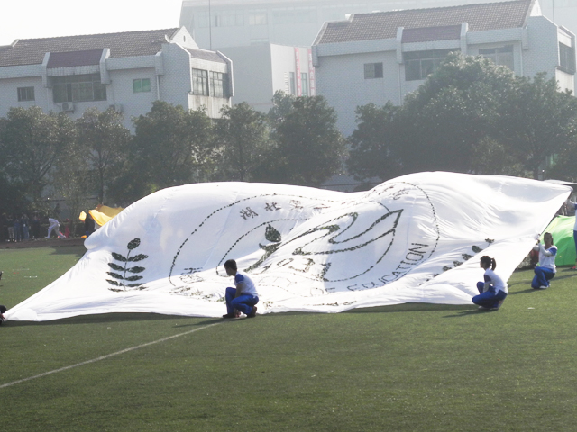 沈净玉 绿色.JPG